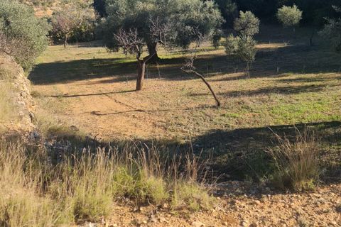 Landejendom i Asco, Tarragona, Asco - € 29.000 | Ref: 1003 Pasco - foto 15